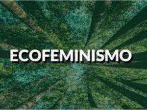 tipos de feminismos ecofeminismo